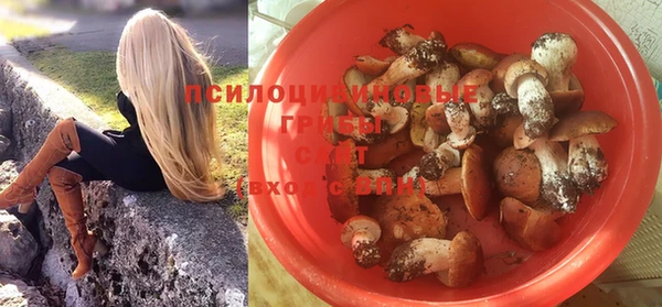 Альфа ПВП Алзамай